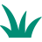 altText.iconFuer Foragegras 